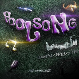 เพลงของคนโง่ (feat. SAINTJS & Z TRIP) Lil aungpao