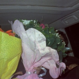 Everything Starts Here (feat. HMOT) Foresteppe