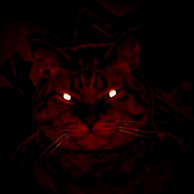 i,m gonna get you - Single