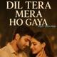 Dil Tera Mera Ho Gaya Single