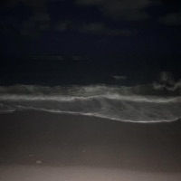 Italy - Single - Jit flash