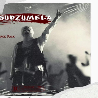 Magudzumela (feat. Snack pack) - Single