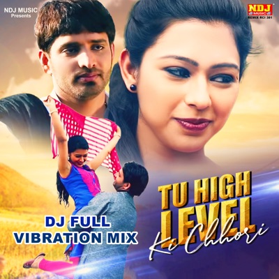 Tu High Level Ki Chhori (DJ FULL VIBRATION MIX) - Single
