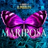 MARIPOSA BANDA