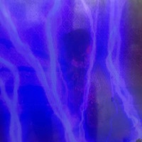 Video Games - W1kcollector