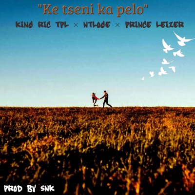 Ke Tseni Ka Pelo (feat. King Ric Tpl, Ntloge & Prince Leizer) - Single