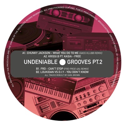Undeniable Grooves Pt.2 - EP
