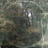 P.S. I Love the Flowers - EP - Horseglu