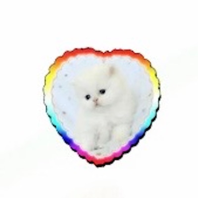 KAMILA (feat. Lucca) - Single