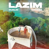 Lazım artwork