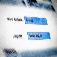 NIKDO JAKO JÁ - Single - Brumiik