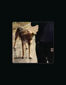 Listen to GORKY, watch music videos, read bio, see tour dates & more!