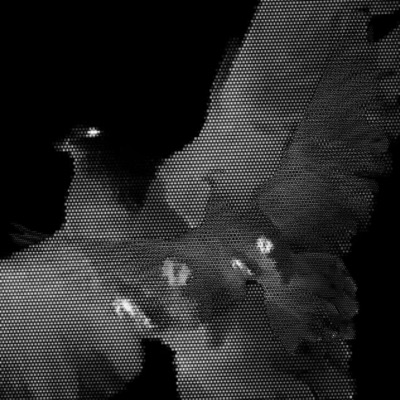 TOMMY G/ W KISONN (feat. Kisonn) - Single