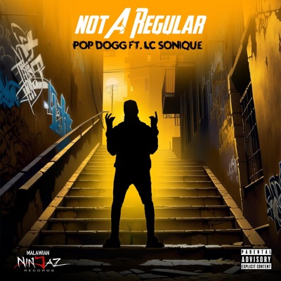 Not a Regular (feat. LC Sonique) - Single