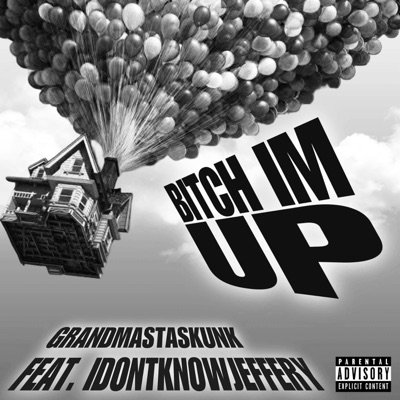 Bitch Im Up - Single