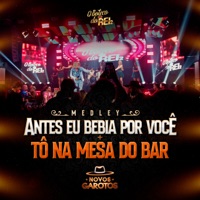 Medley - Antes eu Bebia por Você / Tô na Mesa do Bar - Single - Novos Garotos