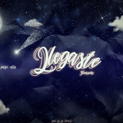Llegaste (feat. Flow Sacchi) - Single