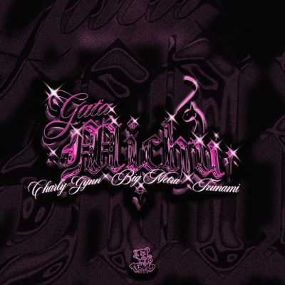 Gata Michu - Single