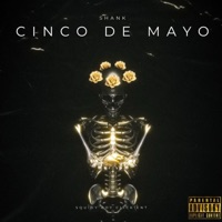 Cinco de Mayo - Single - Shank