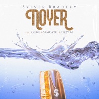 Noyer (feat. GilBil, Sam Ça' tel & Tizzy Al) - Single - Sylver Bradley