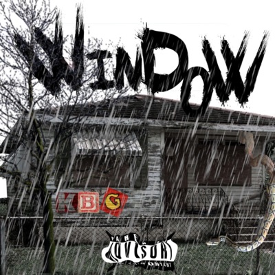 Window - Single