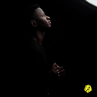 You Can't Be (feat. Earnestar, Vee, Ludaspark & Kikkie Hills) - Single