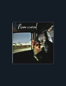 X-D-J: песни, клипы, биография, даты выступлений и многое другое.