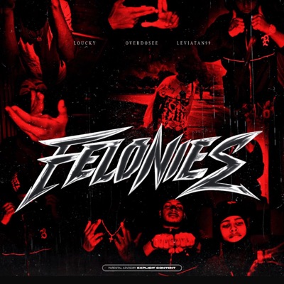 FELONIES (REMIX) - Single