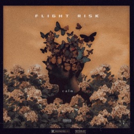 Flight Risk Calm., Time & AwareNess