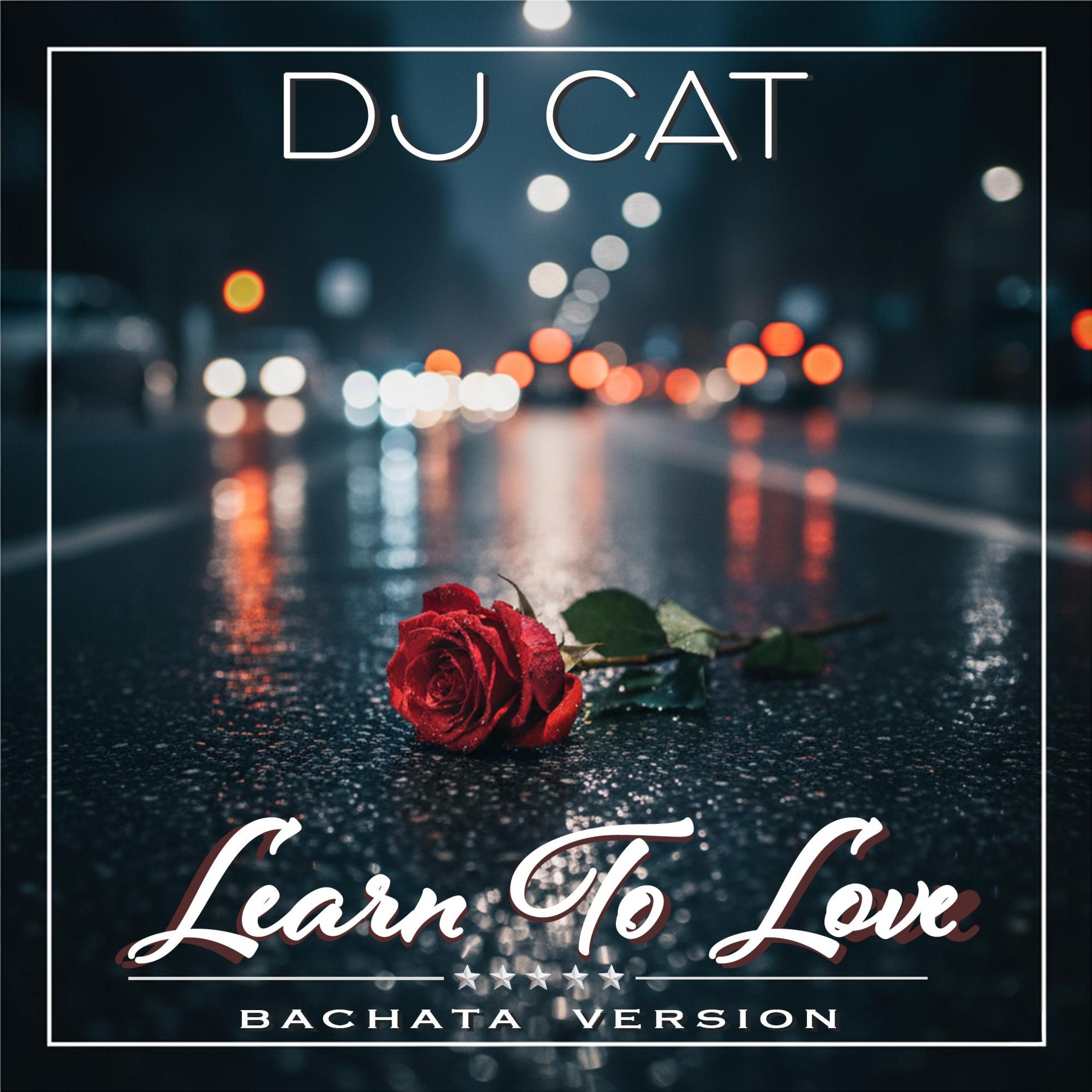 Learn To Love (Bachata Version) - Single