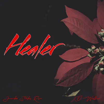 Listen to Healer - Single by Jumbo Sticks Rsa & XO Walker