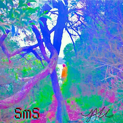 SmS - Single