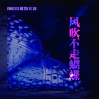 风吹不走蝴蝶 - Single - 江如玥