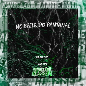 No Baile do Pantanal