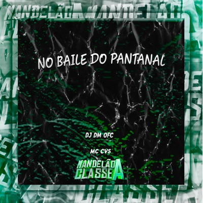 No Baile do Pantanal - Single