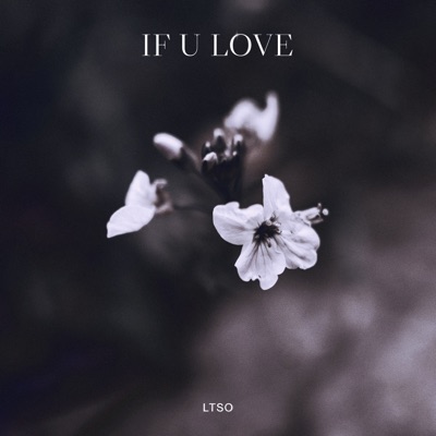 if u love - Single