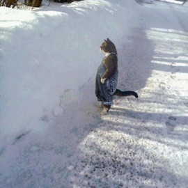 waste my time (feat. valberry & kuriosity) Oncite