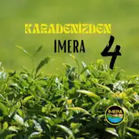 FERA — IMERA