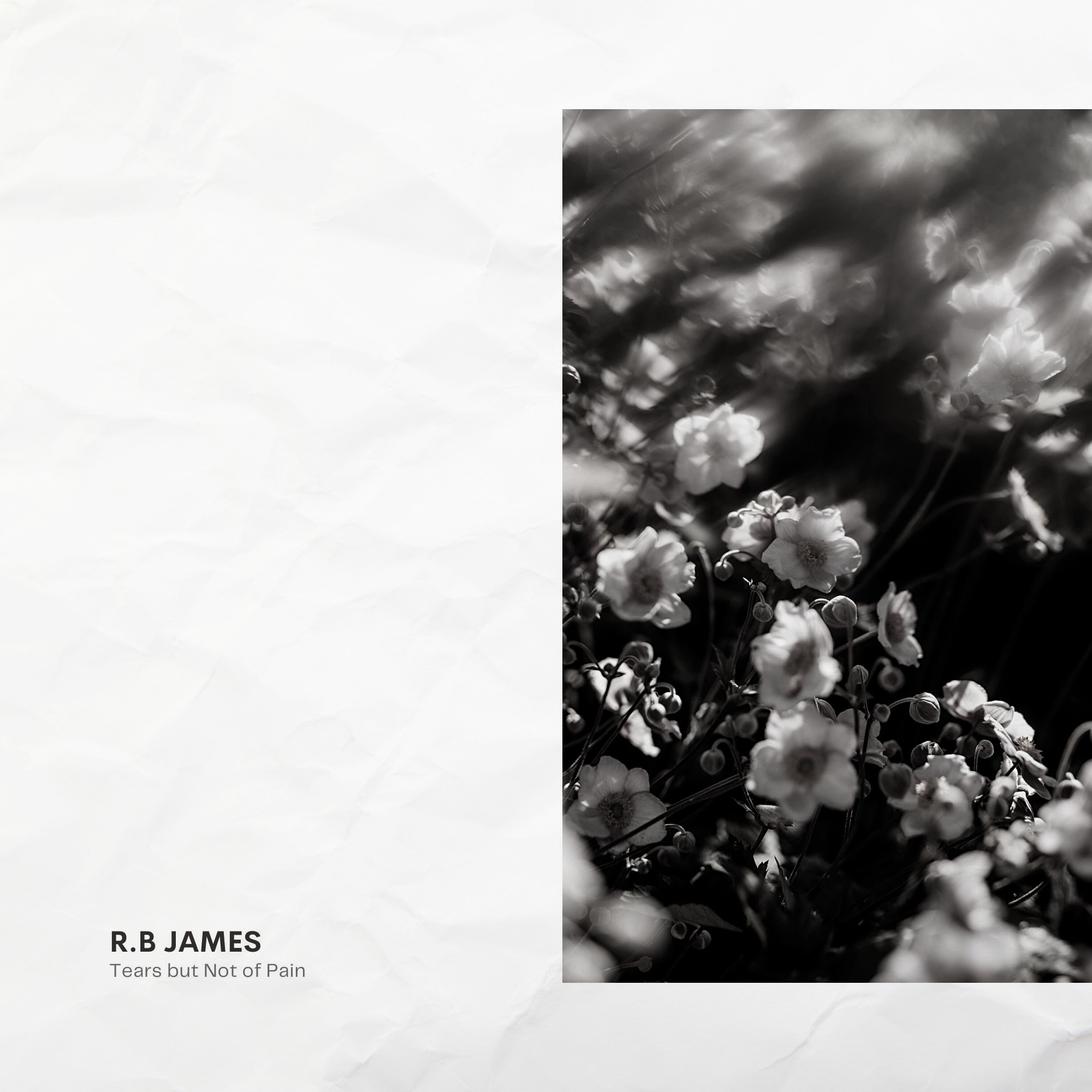 Tears but Not of Pain - Single