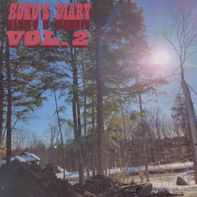ROKO's DIARY, Vol. 2