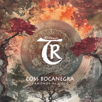 Vamonos Al Cielo - Single - Coss Bocanegra & Tibetania