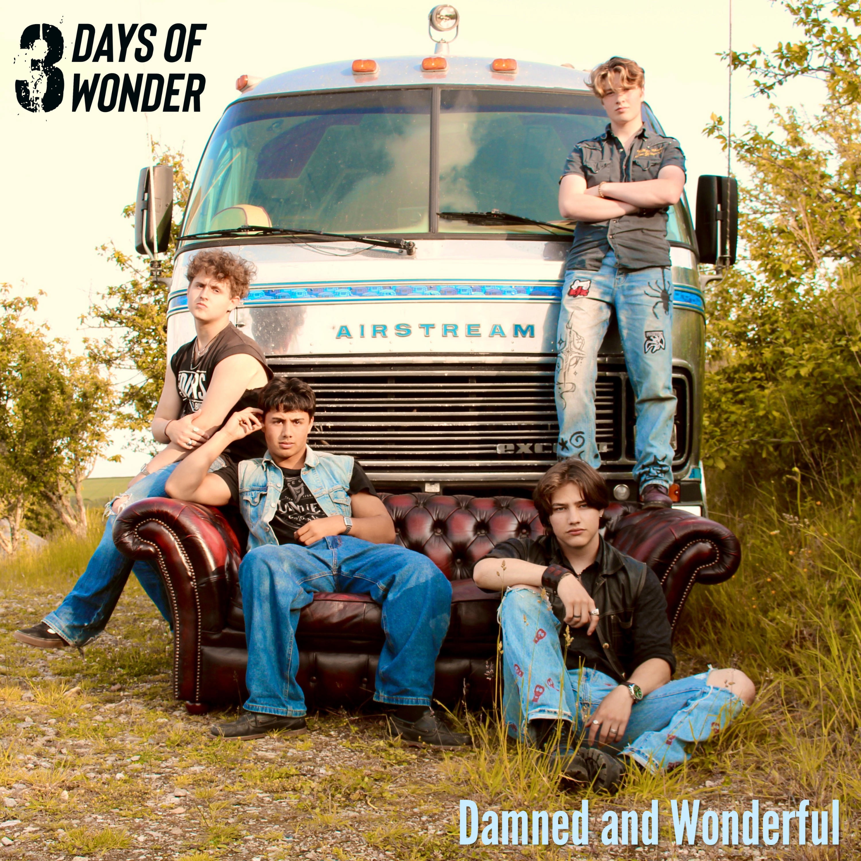 Damned & Wonderful - Single