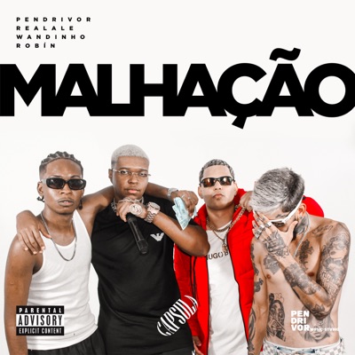 Malhação (feat. ROBÍN) - Single