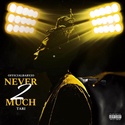 Never 2 Much (feat. Tari) - Single