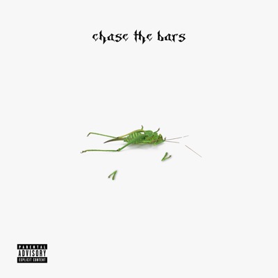 CHASE THE BARS (feat. Noidsensi) - Single