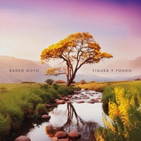 Figura y Fondo (feat. Juan Diego Villalobos) - Baden Goyo