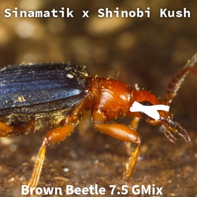 Brown Beetle 7.5 G-Mix (feat. Shinobi Kush) - Single