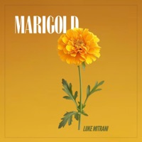 Marigold - EP - Luke Mitrani