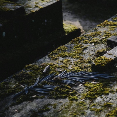 Cementerio de Amigos - Single