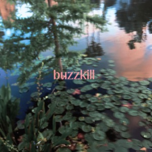 buzzkill (feat. Steezy Prime)